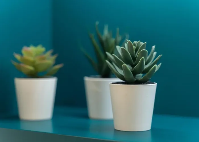 Comfy 4-5th Floor Hanza Tower - Sauna & Pool Appartement Szczecin